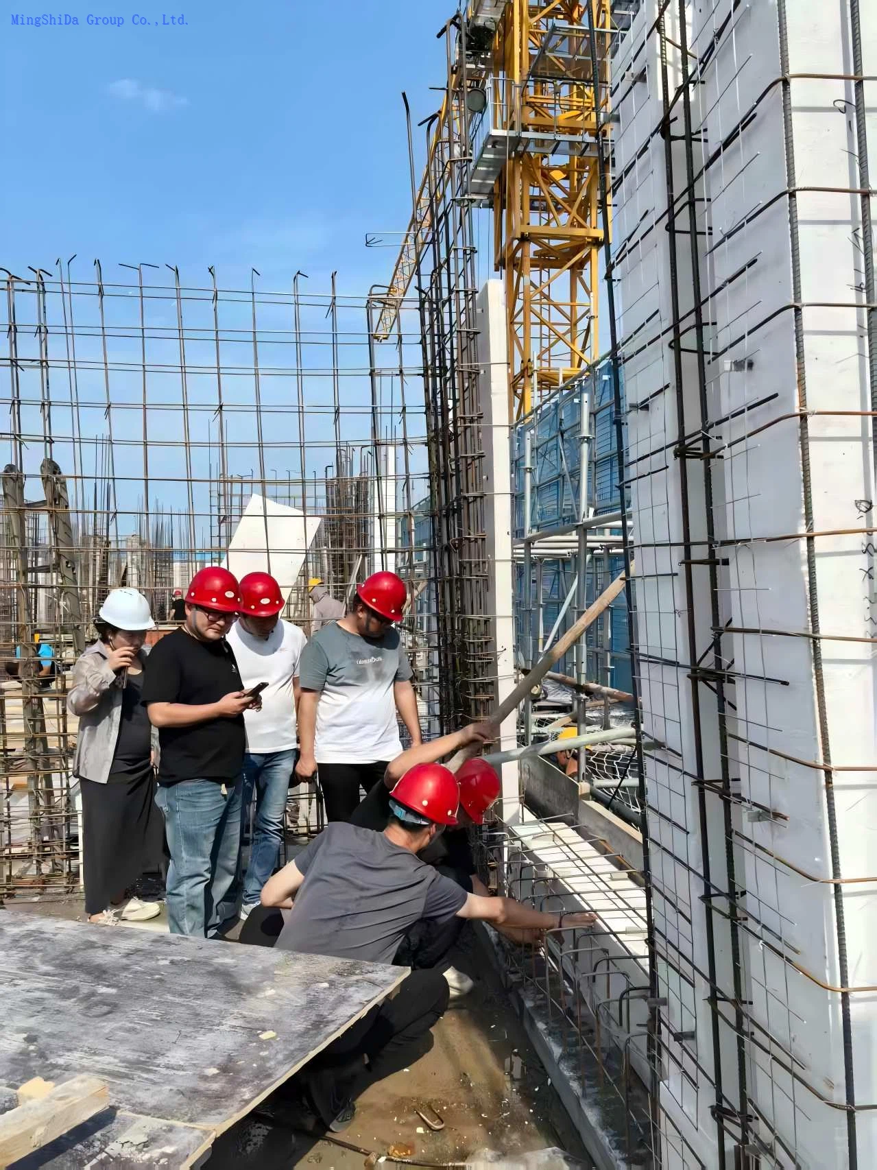 202601161643393671271 202601161643393671271